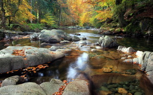 nature-landscapes_widewallpaper_serene-mountain-stream_19666